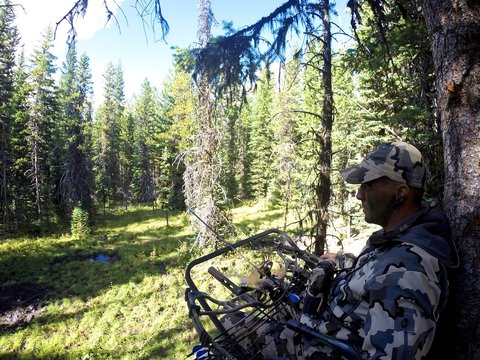 Tree Stand Blind