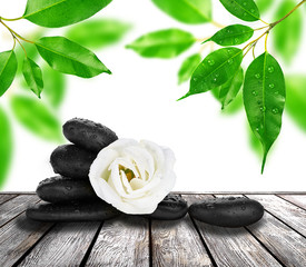 Fototapeta premium Spa treatment