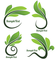 glossy green spring leaf frames