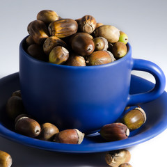 talíø..Acorns and mug