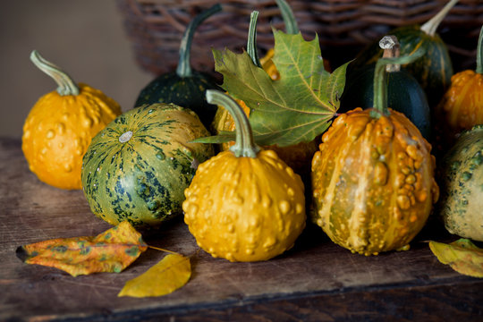 Colorful pumpkins on the table