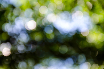 Beautiful green bokeh background.