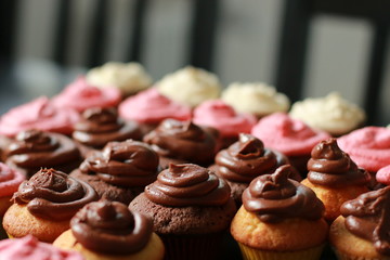 Cupcakes II