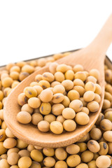 Soybean isolated on white background