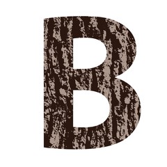 letter B made from oak bark