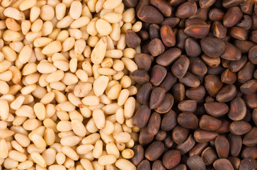 Naklejka premium Bunch of pine nuts. Close up.