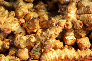 pile of jerusalem artichoke (sunchoke)
