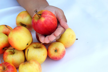 Red apples fresh in hand.