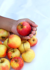Red apples fresh in hand.
