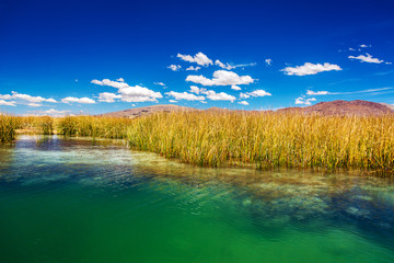 Lake Titicaca Reeds
