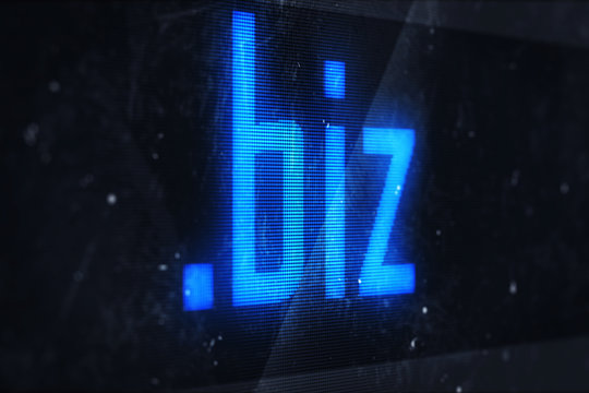 biz domain names