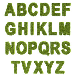 alphabet of the grass