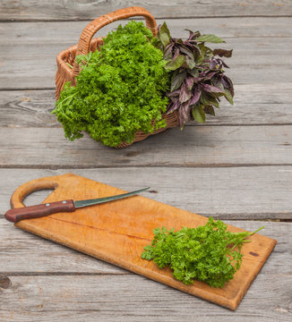 Basket with fresh parsley and basil