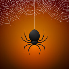 Spider and Cobwebs