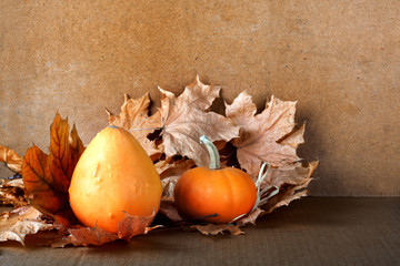 Pile of pumpkins with autumn foliage on abstract background