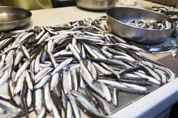 Fresh anchovies at fish market.