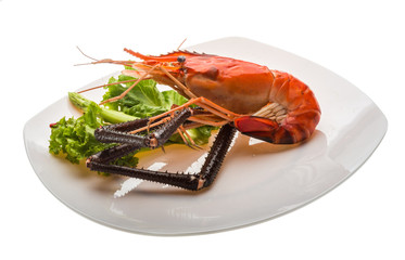 Giant Freshwater Prawn