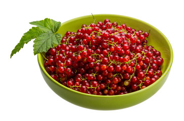 Red currant