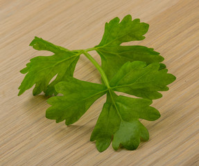 Celery leaves