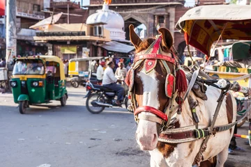 Fotobehang India Rijd met paard en wagen op Sadar Market, India.