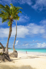 Beautiful caribbean beach with golden sand and tall palm trees - 70844653