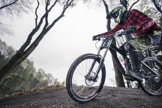 Germany, Lower Saxony, Deister, Bike Freeride in forest