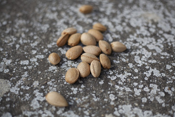 Amandes