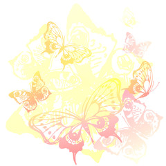 Fototapeta premium butterflies design