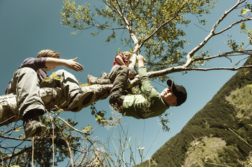 Two boys climbing on tree