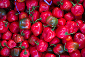 Many small peppers background
