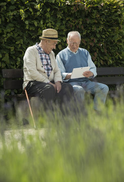 Two old men using tablet computer in the park