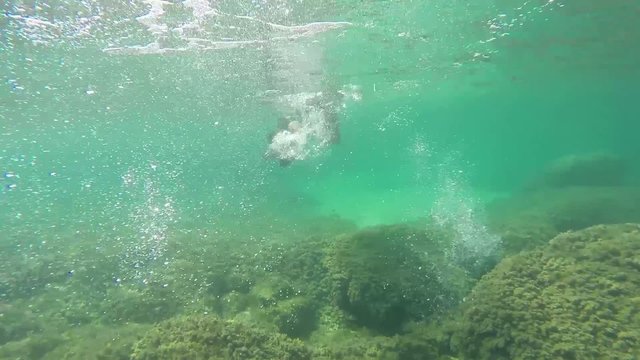 apnea
