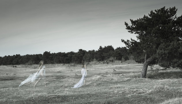 Germany, Bavaria, Froettmaning Heath, Young women on a meadow, invisible, dreamlike