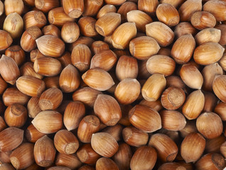 nocciole