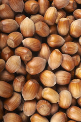 nocciole