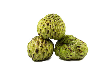 Custard Apple