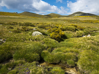 Fototapeta na wymiar Los Cervunales. Sierra de Gredos.