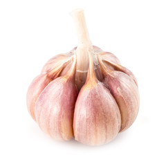 Garlic isolated on white background