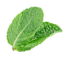 Mint isolated on white