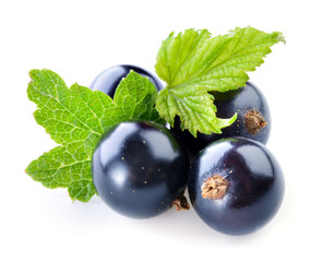 Black currant isolated on white background