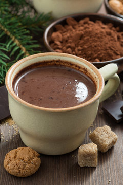 hot chocolate in a ceramic cup and amaretti cookies