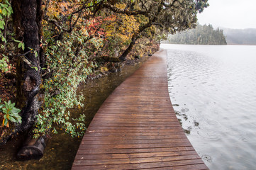 wooden walkway in winter