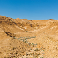 Naklejka premium Dry Riverbed