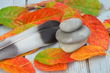 Fototapeten Zen stenen  met herfstbladeren en veer op oud hout. © trinetuzun