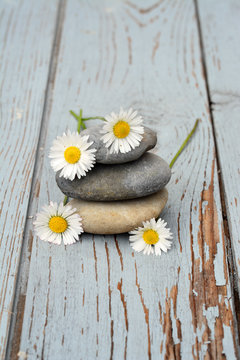 Zen stenen  met bloemen op oud hout.