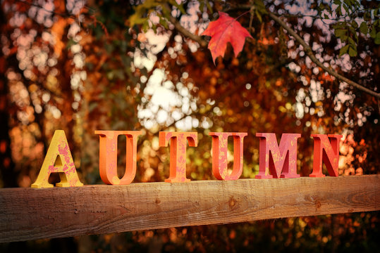 Autumn Letters