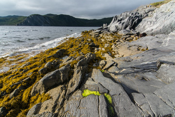 Rugged Newfoundland Shore