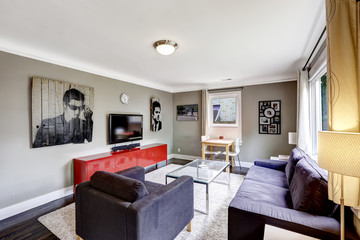 Light grey living room with bright red cabinet and black furnitu