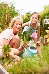 Grandmother And Granddaughter Working On Allotment