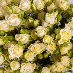Abstract background of flowers. Close-up.